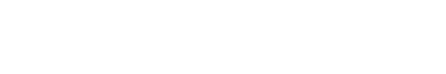 SSN Argentina logo.png